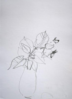 Sketch Rose1