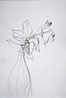 Sketch Rose3
